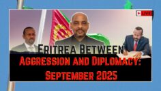 [ID: A-WRlia-3MU] Youtube Automatic