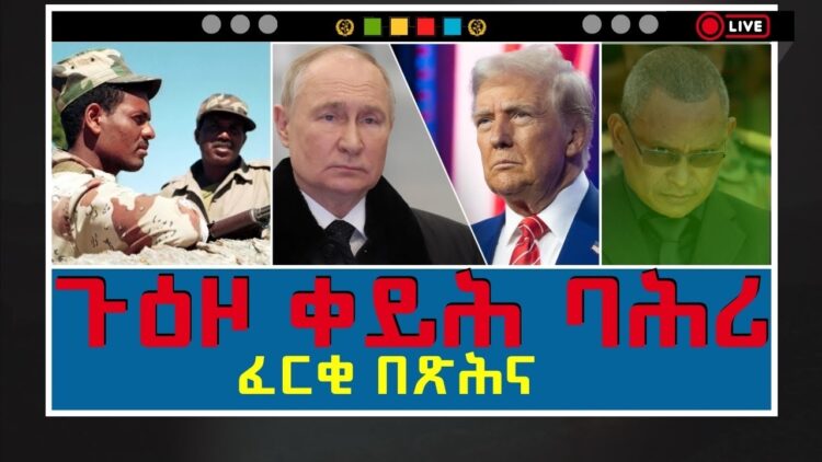 [ID: iYLKCs3U7ks] Youtube Automatic