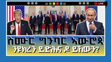 [ID: p32mjfEs2c0] Youtube Automatic