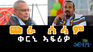 [ID: PIQVJf95y3Q] Youtube Automatic